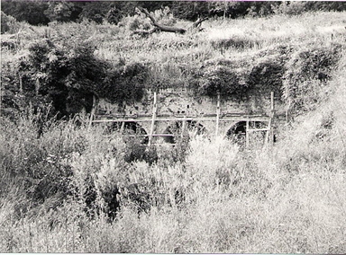 Fonte Agliana
